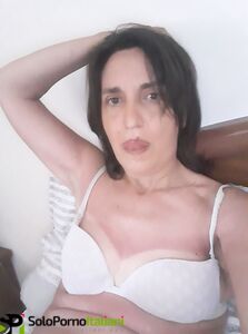 Anna la troiona