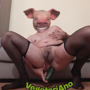 VegetariAno