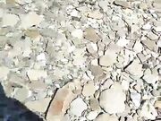 Vediamo se trovo qualcuno da spompinare al fiume