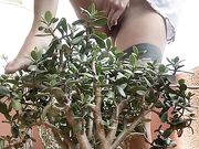 Martina Smeraldi si masturba e squirta sul bonsai OF