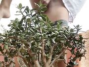 Martina Smeraldi si masturba e squirta sul bonsai OF