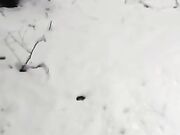 Sega fidanzata all'aperto con la neve