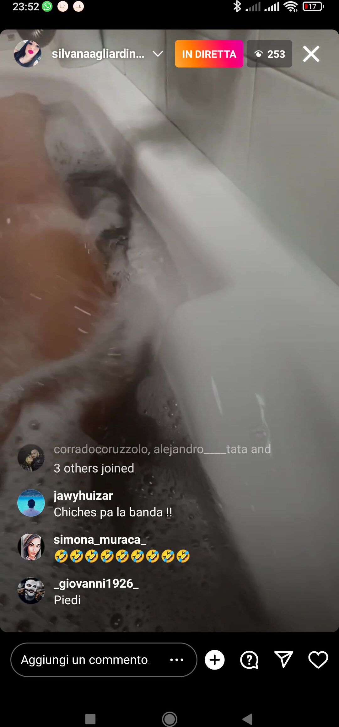 Agliardi silvana video