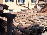 Esibizionista italiana in topless sui tetti di Venezia