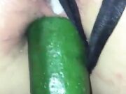 La mia troia