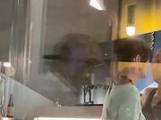 DAI CHE VIENE -  Venete lesbicano al bar
