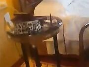 Oggi scopo con una amica perchè sono un po' lesbica