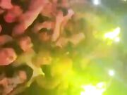 Grem senza mutandine in concerto