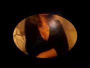 Sensuale strip Milf italiana con due tettone pazzesche