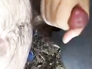 Veloce con le mani - Pompino al parco fidanzata