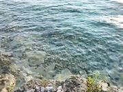 Scopata al tramonto in riva al mare da un nuovo amico