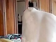 A cavalcioni sul suo cazzo Amatoriale ITA