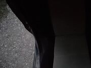 In auto nuda godo