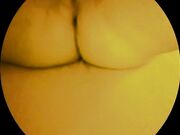 tradimento