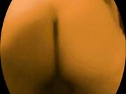 tradimento