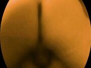 tradimento