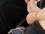 Che troia succhiami il cazzone