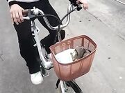 Pedalata mostrando le tette ai vicini di casa