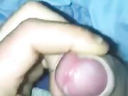 Cazzone