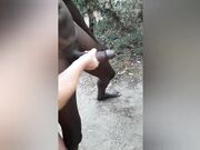 Mia moglie e il senegalese in pineta al mare.