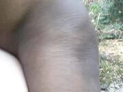Mia moglie e il senegalese in pineta al mare.