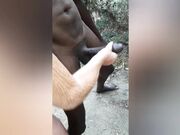 Mia moglie e il senegalese in pineta al mare.