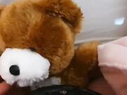 Mi tocco col mio peluche