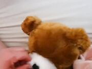 Mi tocco col mio peluche