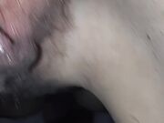 Figa da vacca