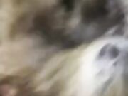 Mi riempi il culo o mi riempi la faccia?
