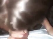 Che sei tu?Una puttana - Trio con amica zoccola