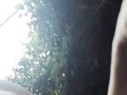Portata a passeggio al guinzaglio.