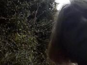 Ragazzo mi porta a passeggio al guinzaglio.