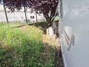Ci sono io qua e ti fai le seghe? Ma scopami dai