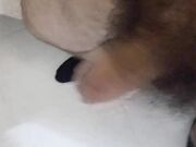 Cazzo grande k