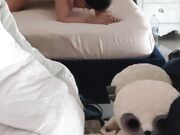 Roberta scopata a pecora da suo marito selfie cell