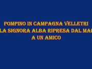 amici di velletri