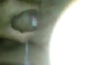 Quel porco di mio fratello