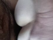 Pecorella