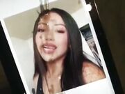 Troia cum tribute