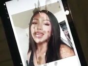 Troia cum tribute