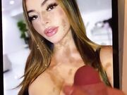 Troia cum tribute