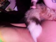 La mia gattina scopata con plug anale