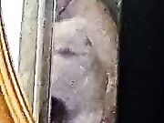 Regalo per Papà: Fidanzata di suo figlio pt.1