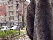 Mi fai tornare a casa con la fica gonfia e distrutta