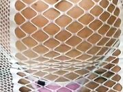 Sono calda e bagnata e voi duri - La Botto in live OF