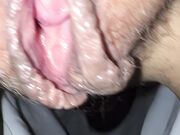 Figa da vacca