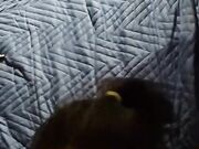 Pompino amatoriale