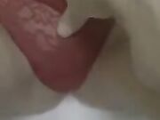 La sditalino fino a farla squirtare