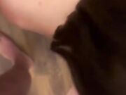 Ambra e Vicky succhiano insieme il cazzo all'amico